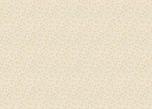 Rasch Novella 983142