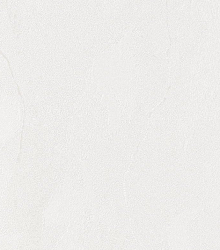 Обои под старые стены Bernardo Bartalucci Gaga  84284-17