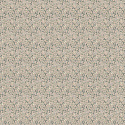 ERBA ORTICA 6